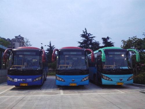 诸暨公交车爆料视频最新,揭秘公交安全与文明出行新篇章